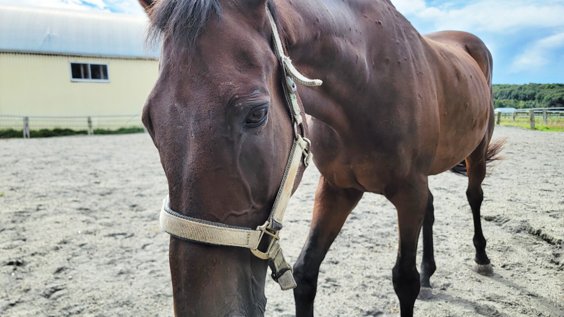 2b45490a59ee115dc6e39769d991508a-1760934006.jpg 2b45490a59ee115dc6e39769d991508a-1760934006.jpg